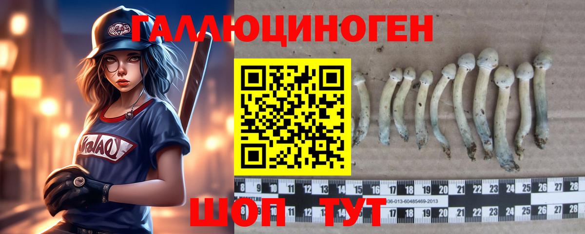 Галлюциногенные грибы ЛСД  Вход с VPN  Волоколамск  Псилоцибиновые грибы Psilocybine cubensis 